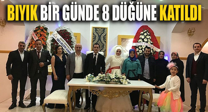 Bıyık, bir günde 8 düğüne katıldı