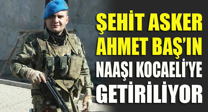 Şehit Ahmet Baş'ın cenazesi Kocaeli'ye getiriliyor!