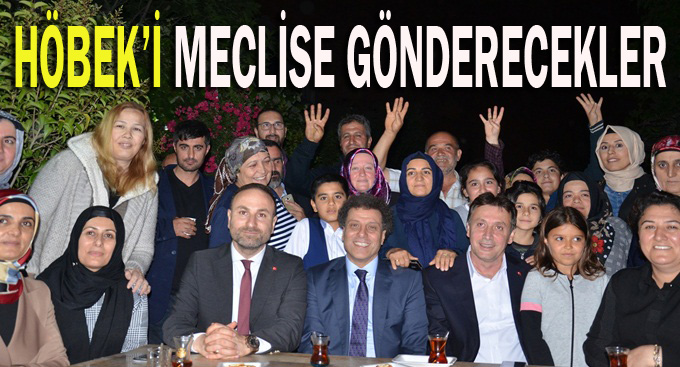 Höbek'i Meclis'e gönderecekler