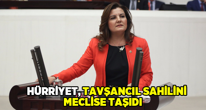 Hürriyet, Tavşancıl sahilini meclise taşıdı