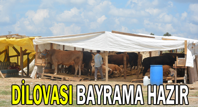 Dilovası bayrama hazır