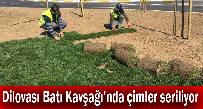 Dilovası Batı Kavşağı’nda çimler seriliyor