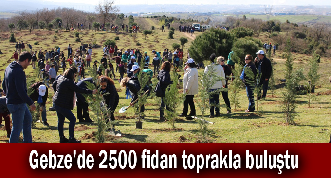 Gebze’de 2500 fidan toprakla buluştu