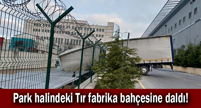 Park halindeki Tır fabrika bahçesine daldı!