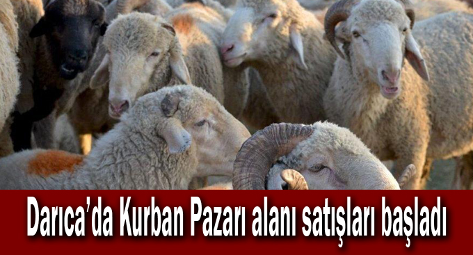 Darıca’da Kurban Pazarı alanı satışları başladı