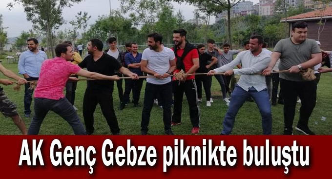 AK Genç Gebze piknikte buluştu