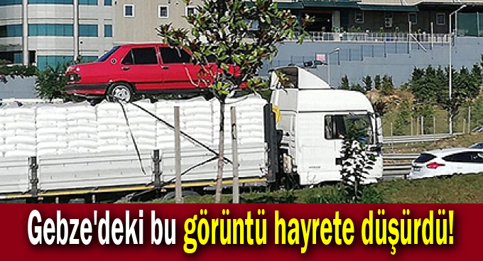 Gebze'deki bu görüntü hayrete düşürdü!