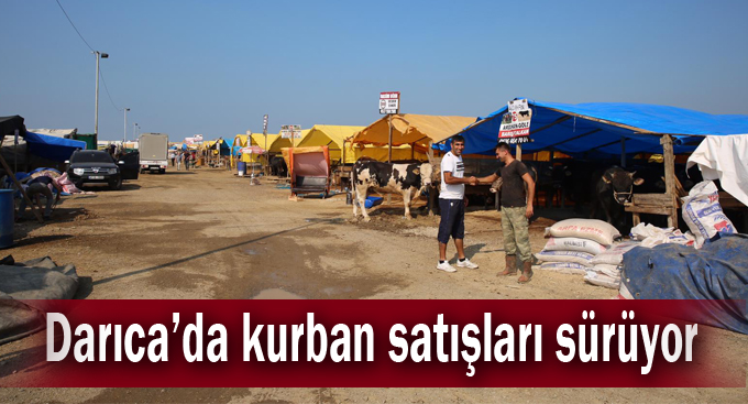 Darıca'da kurban satışları sürüyor