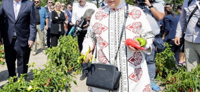 Kocaeli'nin kaybolan değerleri yeniden hayat buluyor