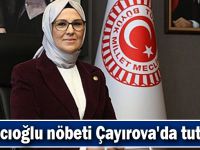 Katırcıoğlu nöbeti Çayırova'da tutacak