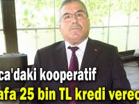 Darıca'daki kooperatif esnafa 25 bin TL kredi verecek