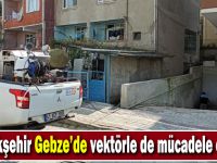 Büyükşehir Gebze’de vektörle de mücadele ediyor