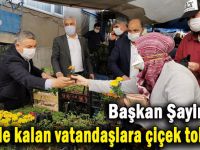 Başkan Şayir, vatandaşlara çiçek tohumu dağıttı