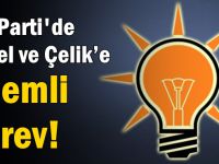 Güzel ve Çelik’e önemli görev!