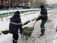 Büyükşehir’den yürüyüş yolunda temizlik çalışması