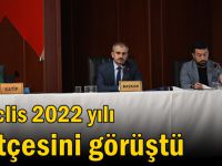 Meclis 2022 yılı bütçesini görüştü