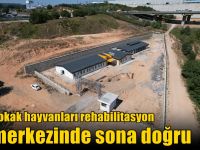 Sokak hayvanları rehabilitasyon merkezinde sona doğru