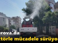 Çayırova’da vektörle mücadele sürüyor