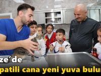 Gebze’de 309 Patili Cana Yeni Yuva Bulundu