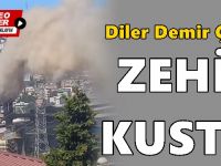 Diler Demir Çelik zehir kustu!