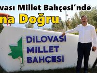 Dilovası Millet Bahçesi’nde Sona Doğru