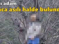 Yaşlı adam ağaca asılı halde bulundu!