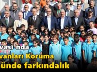 Dilovası'nda Hayvanları Koruma Gününde Farkındalık