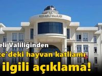 Kocaeli Valiliğinden Gebze'deki hayvan katliamı ile ilgili açıklama!