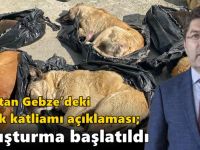 Tunç’tan Gebze’deki köpek katliamı açıklaması; “Soruşturma başlatıldı”