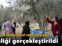 GTÜ’de 4. Geleneksel Zeytin Hasadı Şenliği Gerçekleştirildi