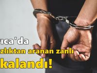 Darıca'da hırsızlıktan aranan zanlı yakalandı!