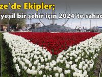 Gebze’de Ekipler; Daha Yeşil Bir Şehir İçin 2024’te Sahadaydı