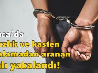 Darıca'da hırsızlık ve kasten yaralamadan aranan zanlı yakalandı!