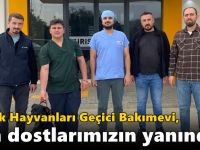 Sokak Hayvanları Geçici Bakımevi, can dostlarımızın yanında