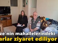 Gebze’nin mahallelerindeki  çınarlar ziyaret ediliyor