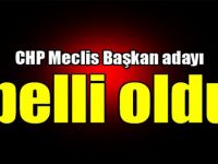 CHP Meclis Başkan adayı belli oldu