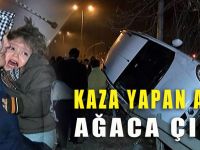 Kaza yapan araç ağaca çıktı