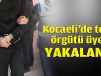 Gebze'de terör örgütü üyesi yakalandı