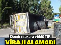 Demir makara yüklü TIR virajı alamadı