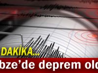 Gebze'de deprem oldu!