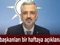 Eryarsoy, ''İlçe başkanları bir haftaya açıklanacak''