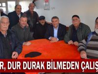 Şayir, dur durak bilmiyor