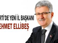 AK Parti'de il başkanı belli oldu