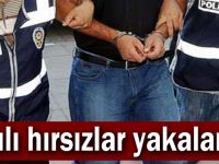 Azılı hırsızlar yakalandı