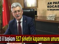 AK Parti il başkanı 517 şirketin kapanmasını umursamadı!