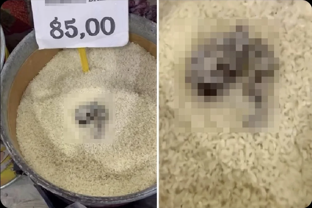 Mersin’de markette kedi dışkısı şoku