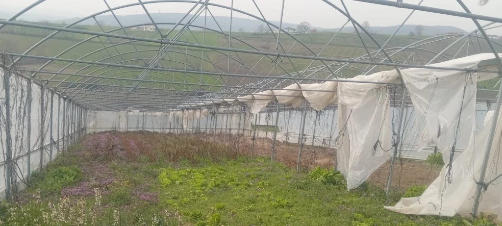 Zarar gören çiftçilere Büyükşehir’den sera desteği