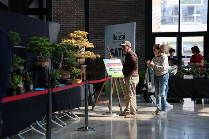 Bonsai tutkunları Kocaeli’de buluştu