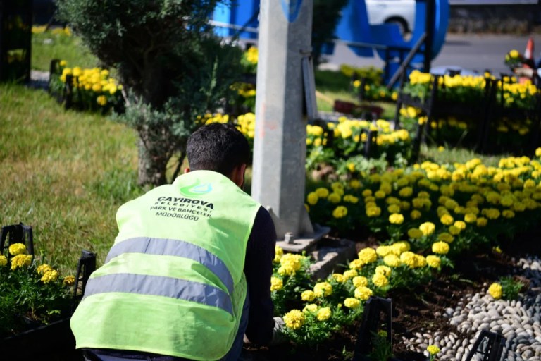 Çayırova’da rengarenk çiçekler açıyor