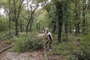 Gebze kırsalındaki mezarlıklar yenileniyor